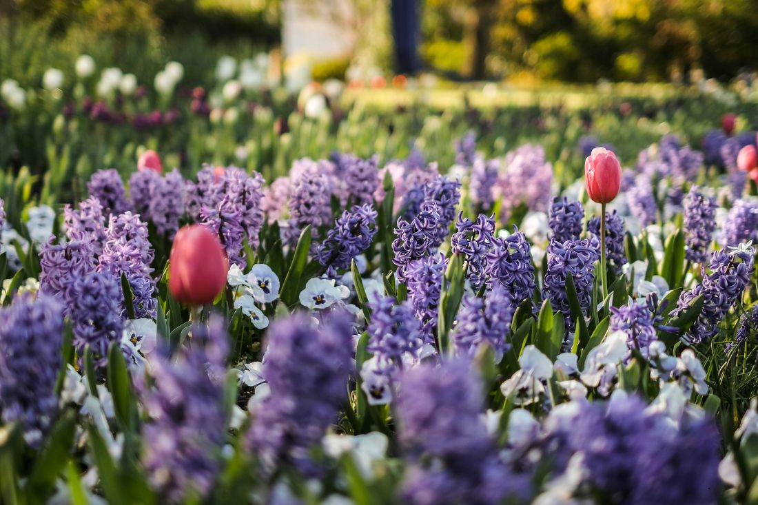 Spring selling season is here. What’s different in 2026?
